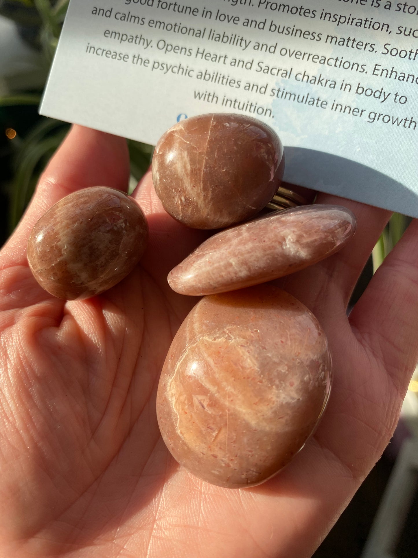 Peach Moonstone Tumbled - Moon Room Shop and Wellness
