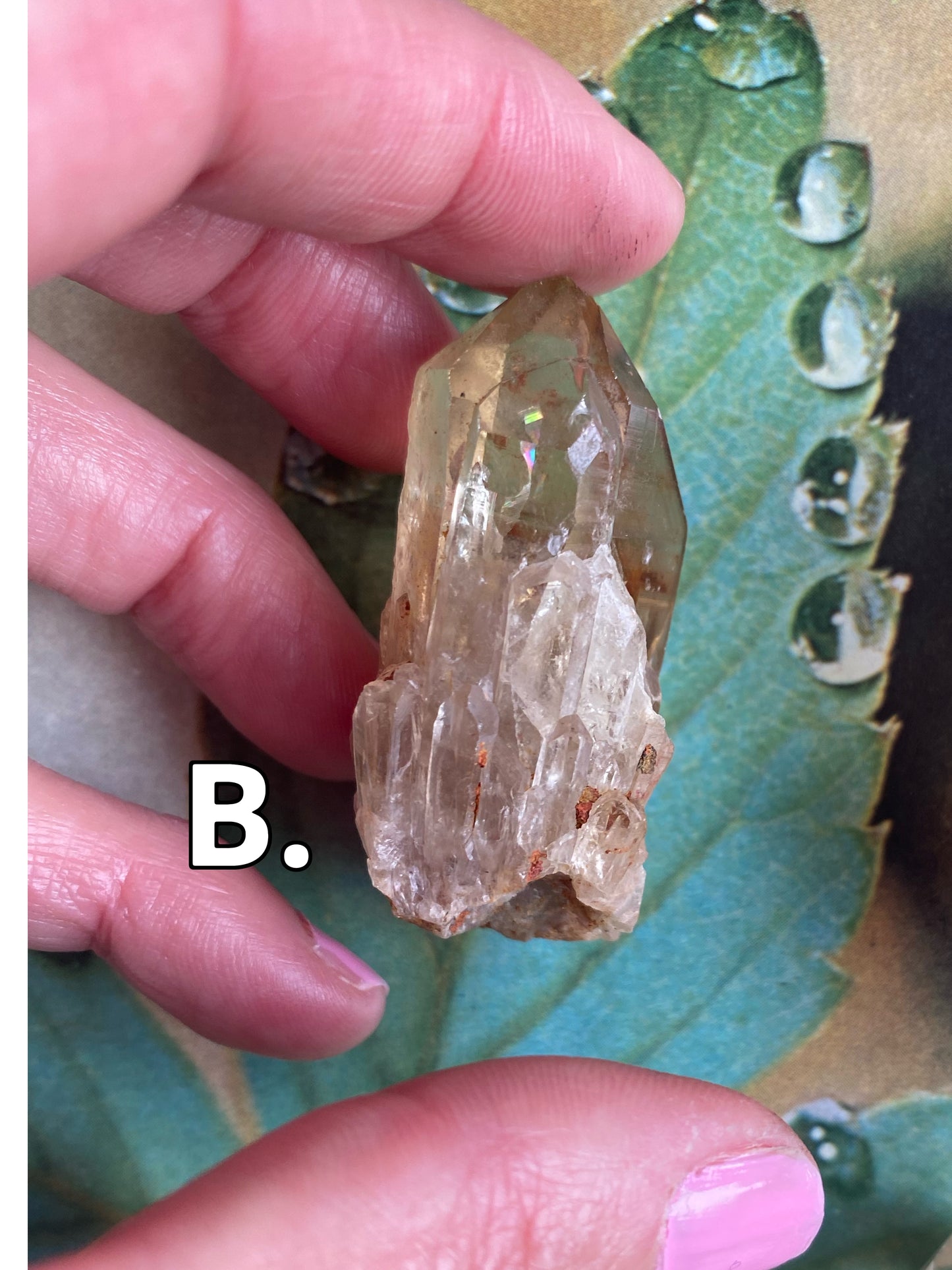 Kundalini Citrine•Natural Citrine - Moon Room Shop and Wellness