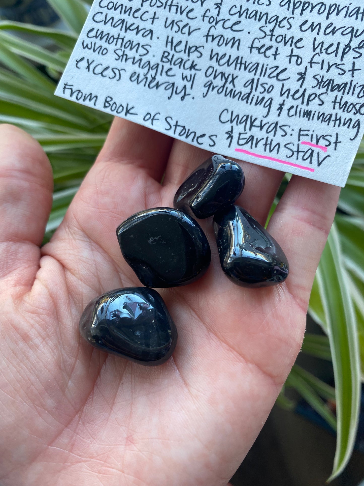 Black Onyx Tumbled - Moon Room Shop and Wellness