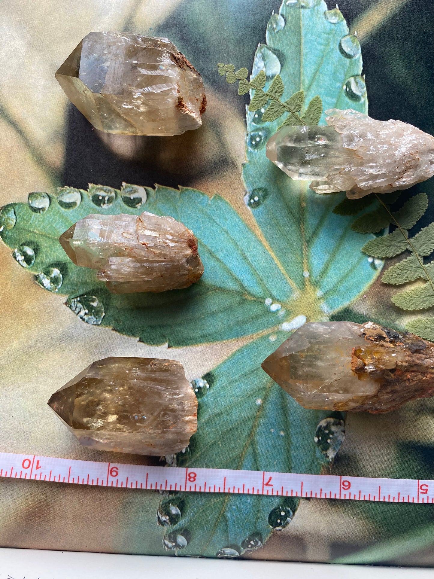 Kundalini Citrine•Natural Citrine - Moon Room Shop and Wellness