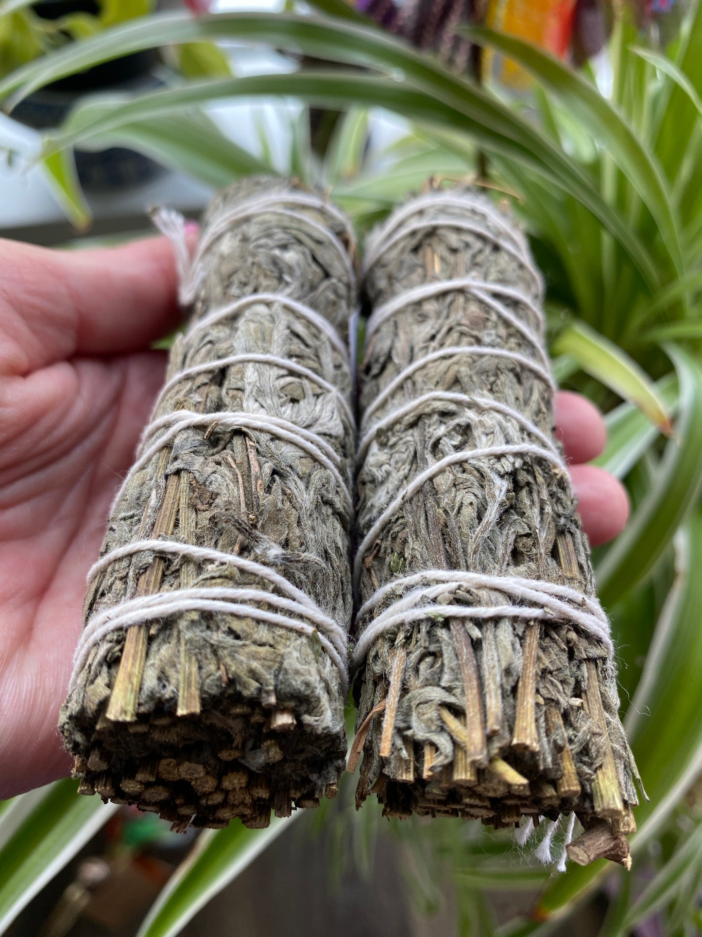 Mugwort- No pesticides/hormones- sun dried - Moon Room Shop and Wellness