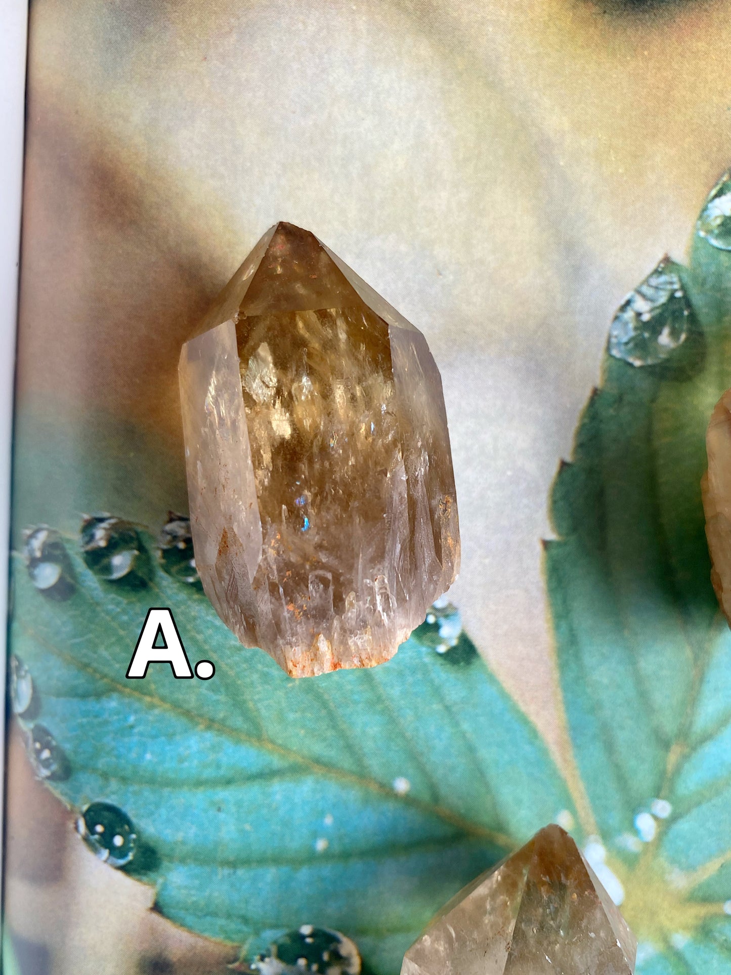 Kundalini Citrine•Natural Citrine - Moon Room Shop and Wellness