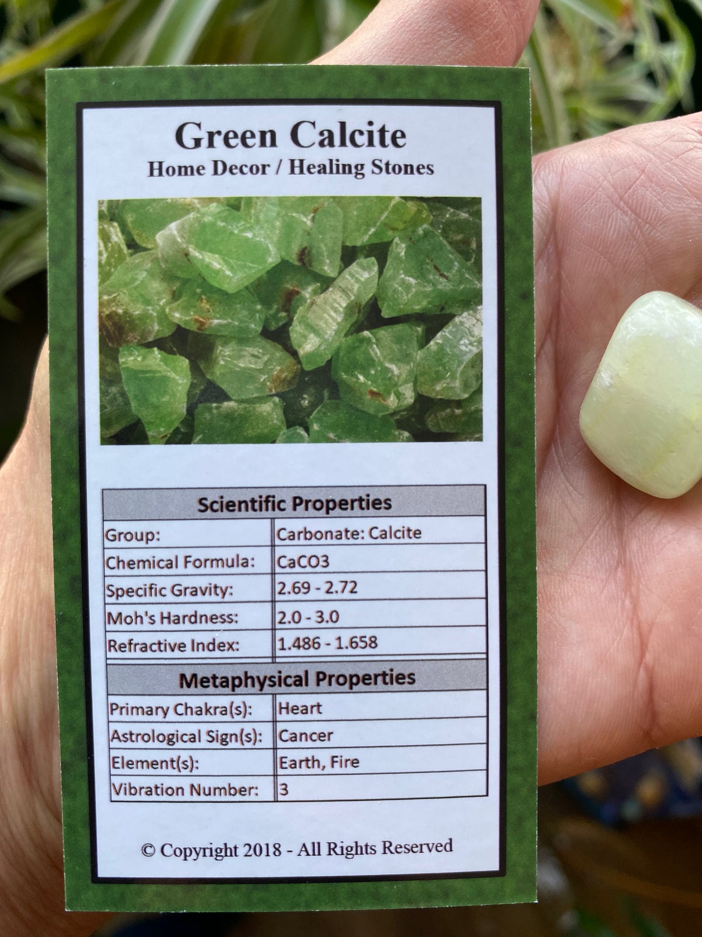 Green Calcite Tumbled - Moon Room Shop and Wellness