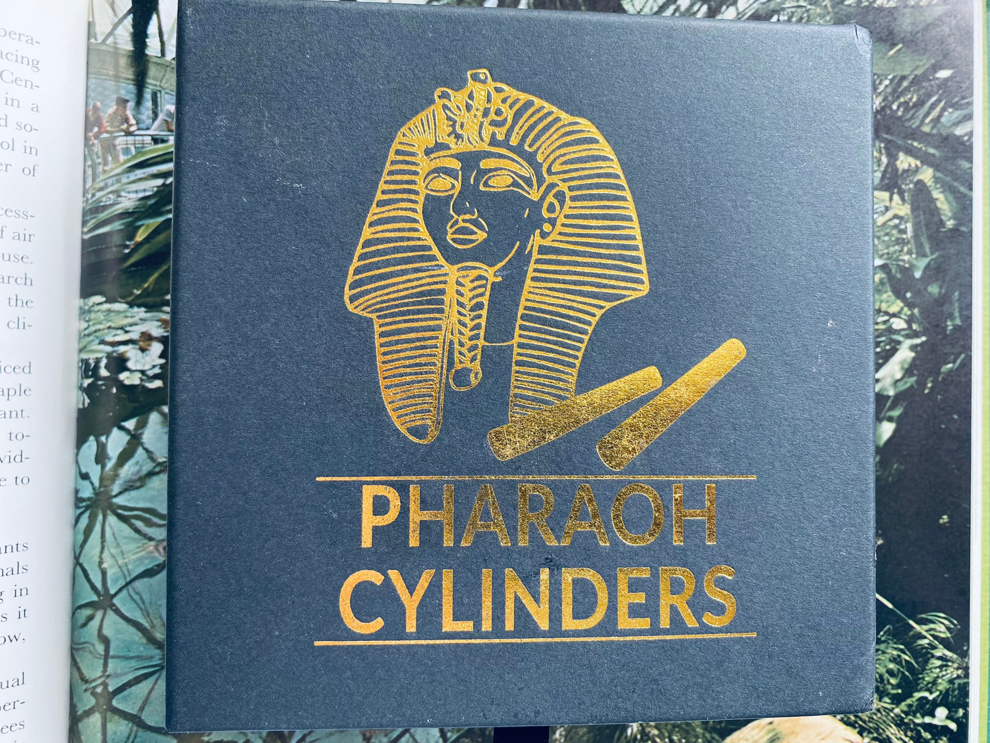 Pharaoh Cylinders Copper/Shungite 4 inches length- Moon Room Shop and Wellness