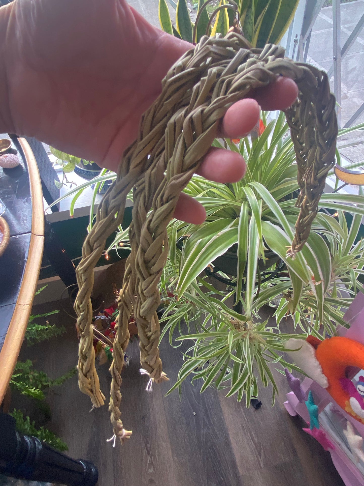 20 inch Sweetgrass Braid- Sustainable- Sun Dried - Moon Room Shop and Wellness