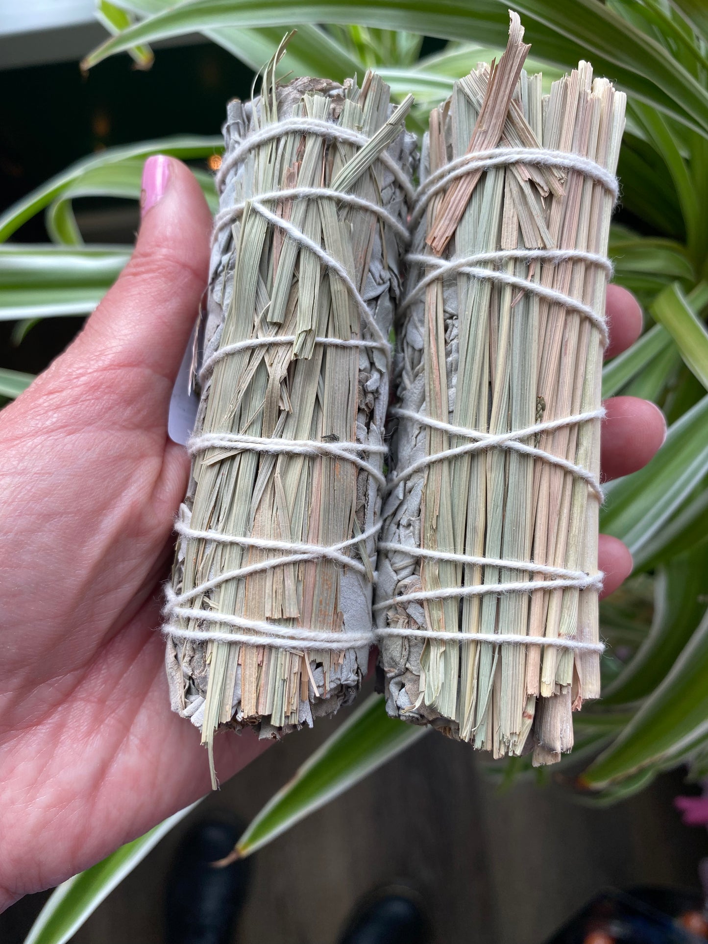 Sage w/ Lemongrass- Sustainable & Sun Dried - Moon Room Shop and Wellness