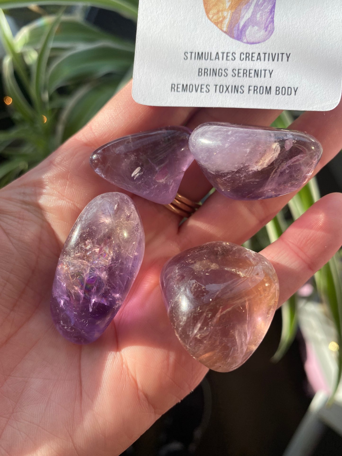 Ametrine Tumbled - Moon Room Shop and Wellness