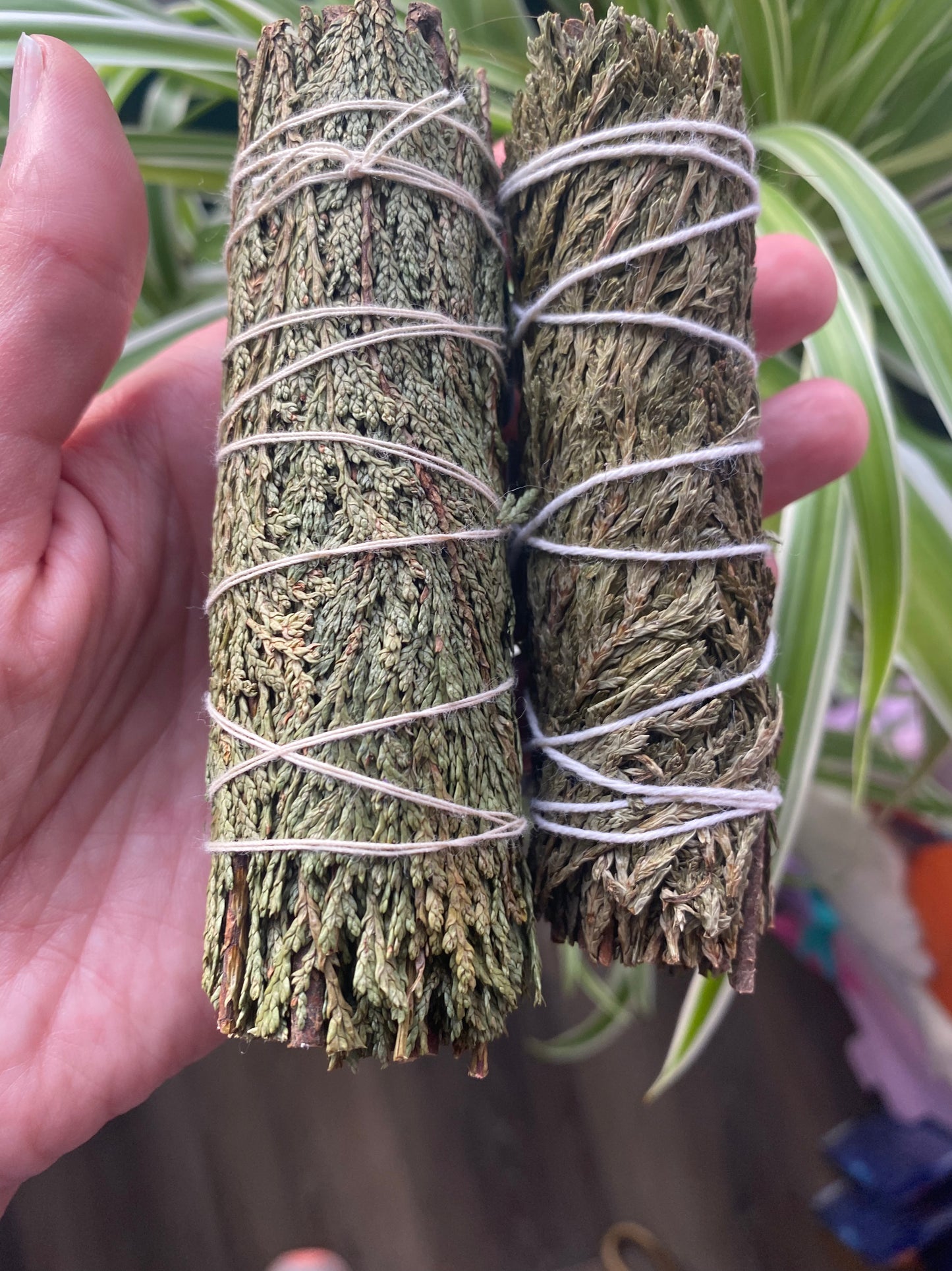 Cedar Smudge - Moon Room Shop and Wellness