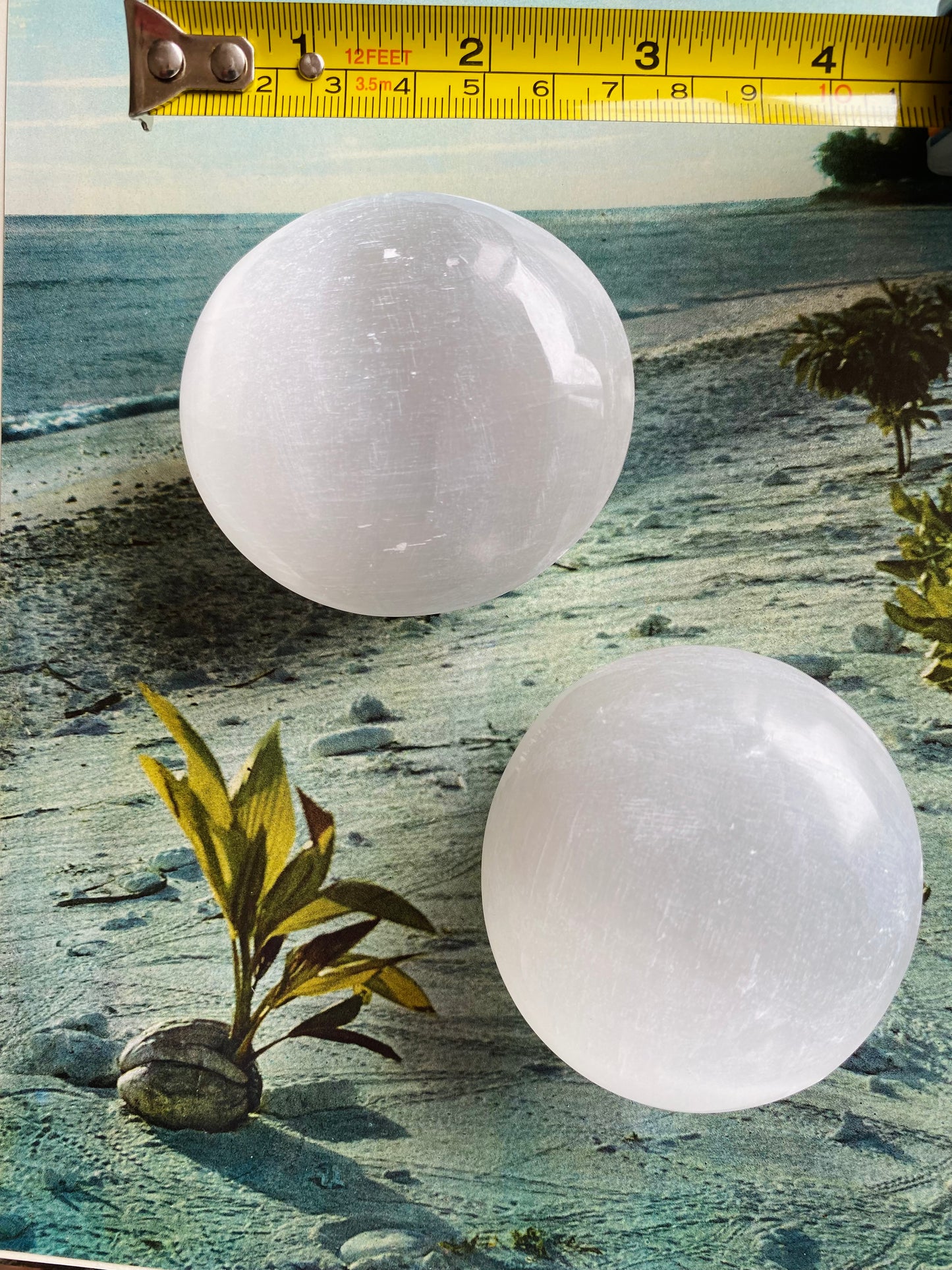 Selenite Palm Stone - Moon Room Shop and Wellness
