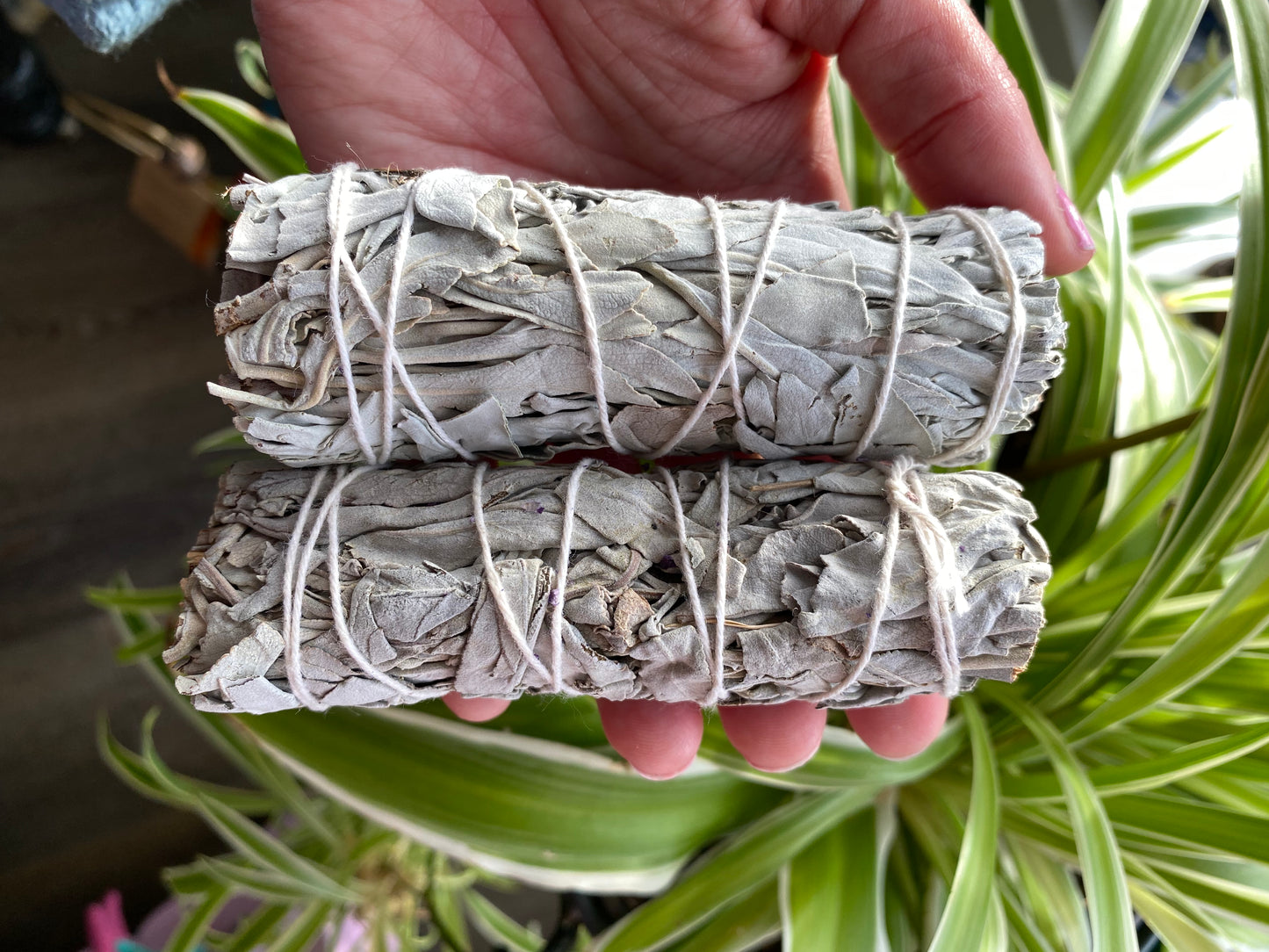 Sage Smudge - Moon Room Shop and Wellness