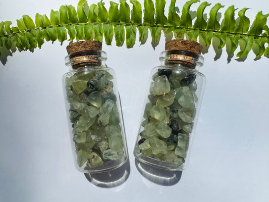Prehnite Gem Chip 25 ml Glass Jar - Moon Room Shop and Wellness