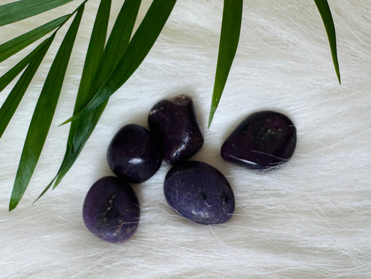Purpurite Tumbled - Moon Room Shop and Wellness