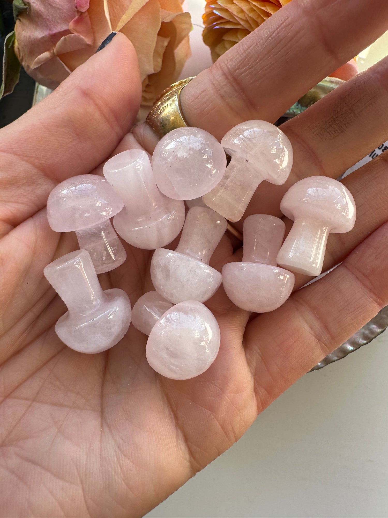 Rose Quartz Mini Mushroom - Moon Room Shop and Wellness