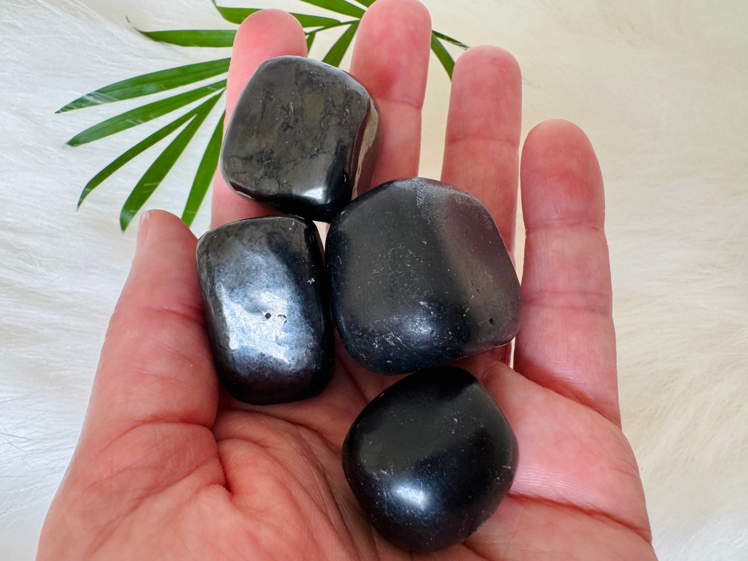 Shungite Tumbled Type II Russia - Moon Room Shop and Wellness