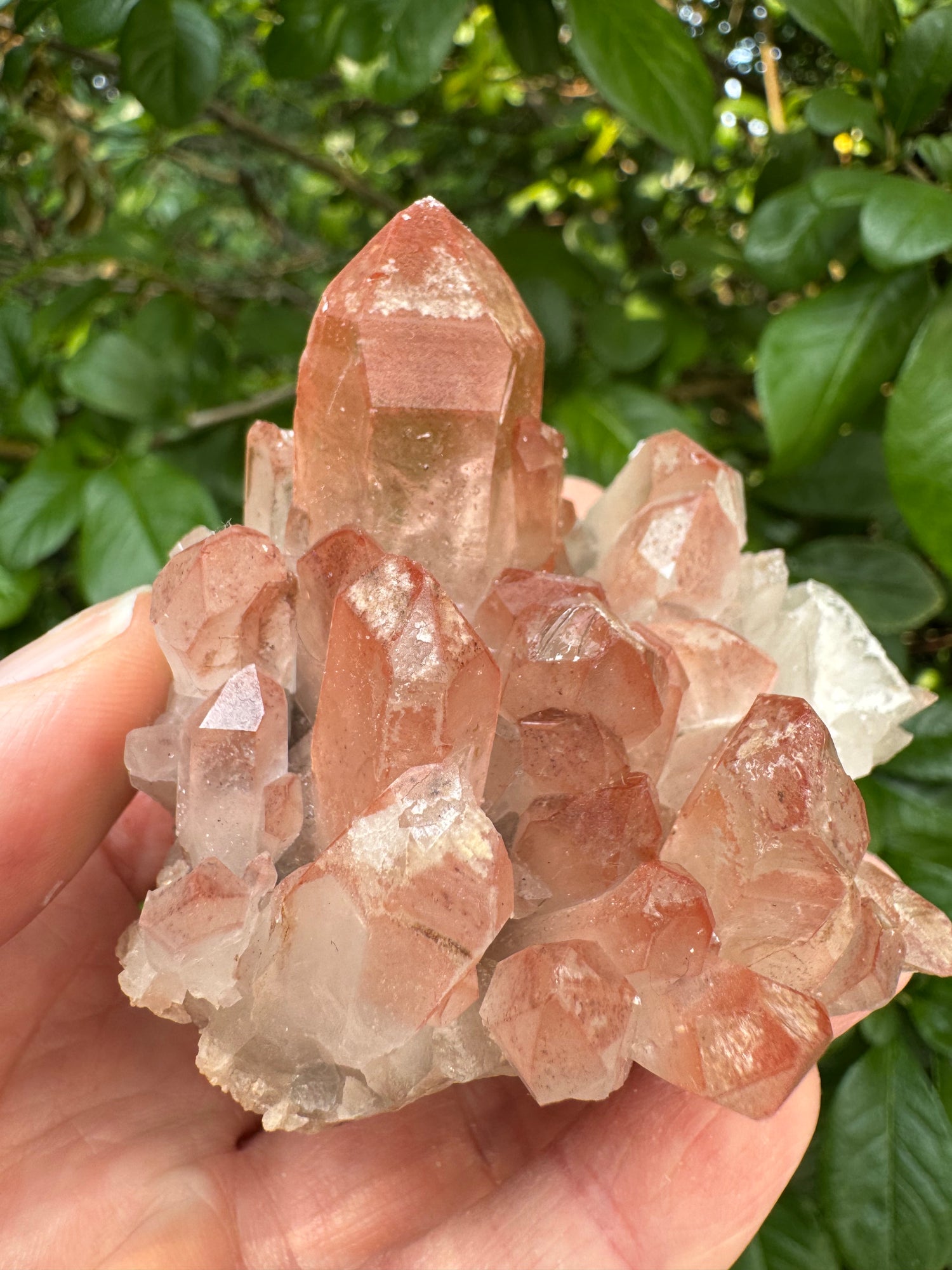 Pink Lithium Quartz Cluster 140 g - Brazil- Peaceful Beauty! - Moon Room Shop and Wellness