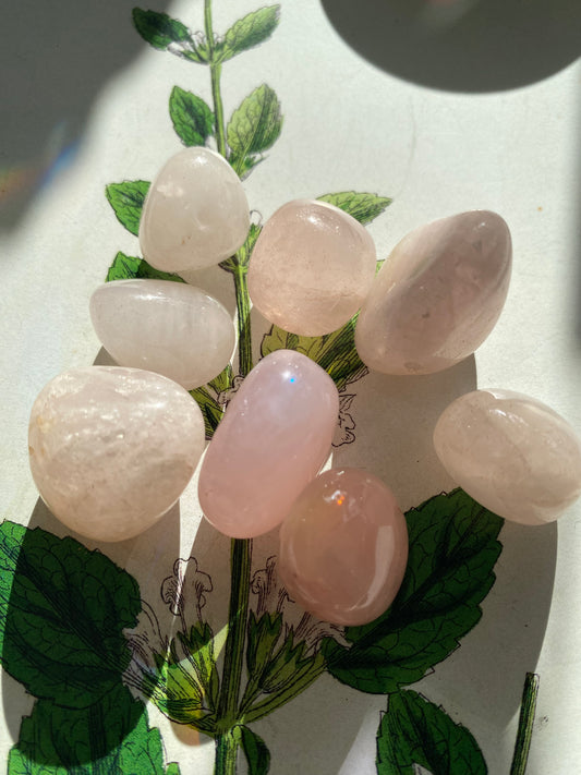 Rose Quartz Tumbled - Moon Room Shop and Wellness