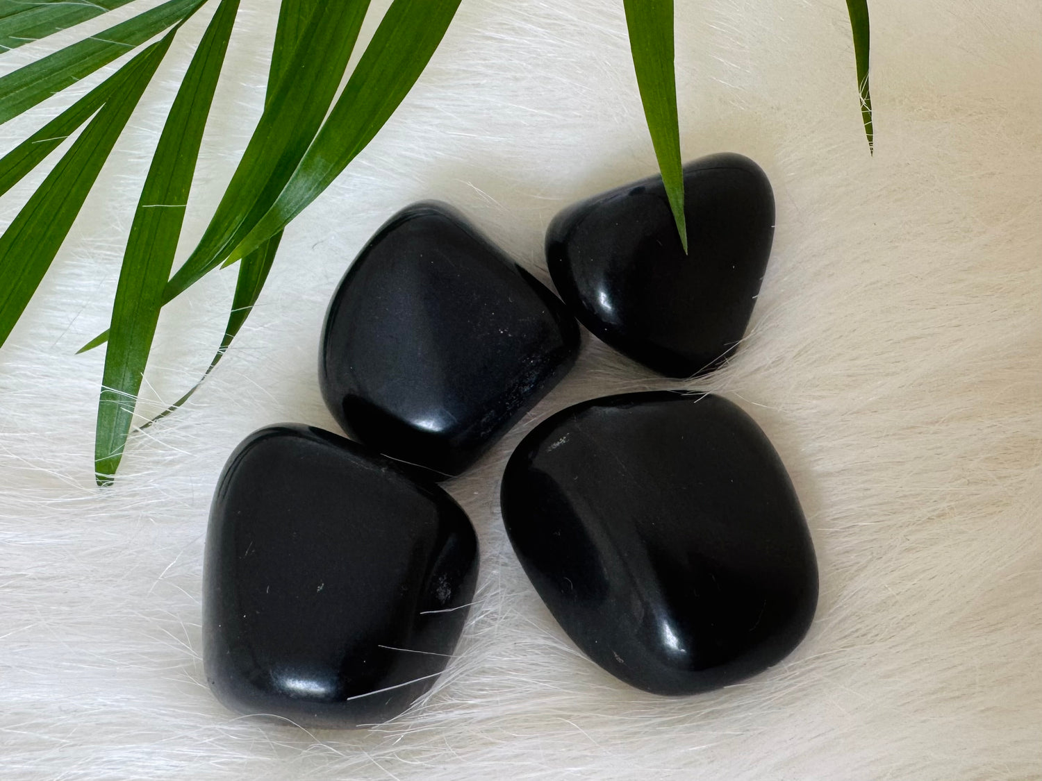 Black Tourmaline Tumbled - Moon Room Shop and Wellness