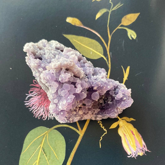 Grape Agate Botryoidal Specimen 118 g Sulawesi, Indonesia - Moon Room Shop and Wellness