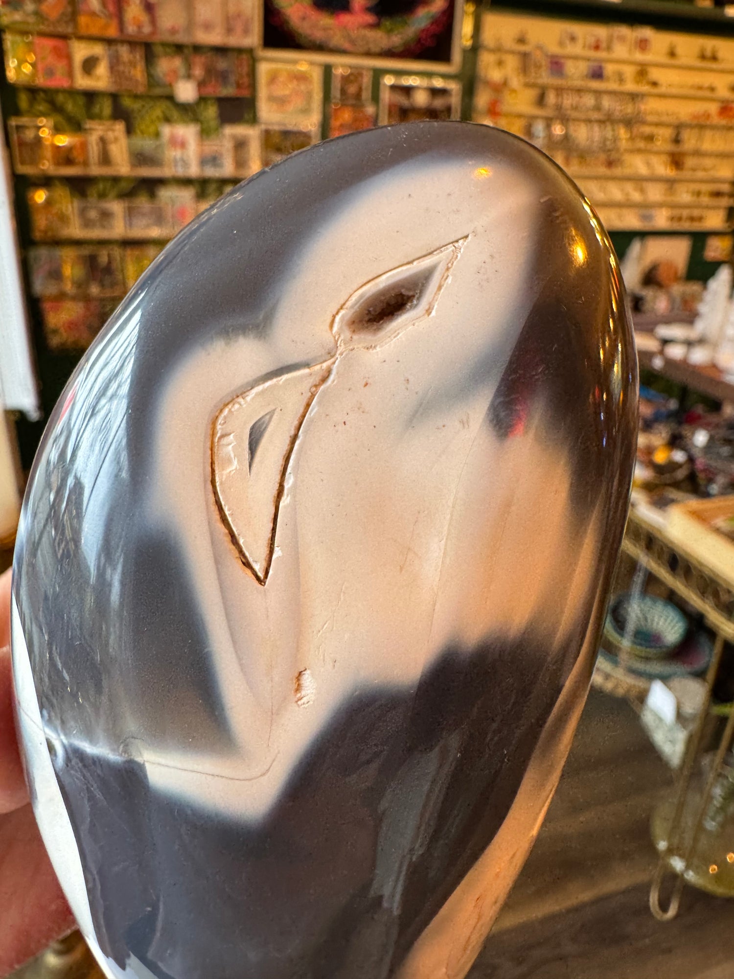 Orca Agate Freeform 2.53 lb - Moon Room Shop and Wellness