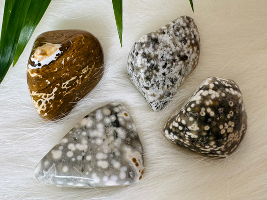 Ocean Jasper Tumbled - Moon Room Shop and Wellness