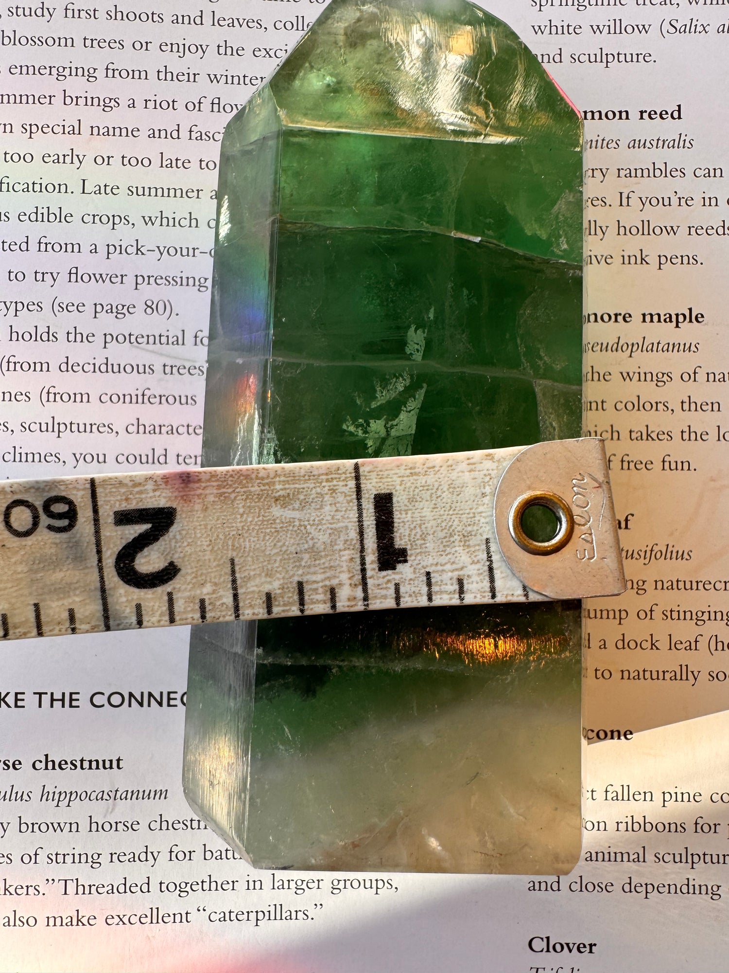 Green Fluorite Tower U.V. Reactive 319 g Argentina - Moon Room Shop and Wellness