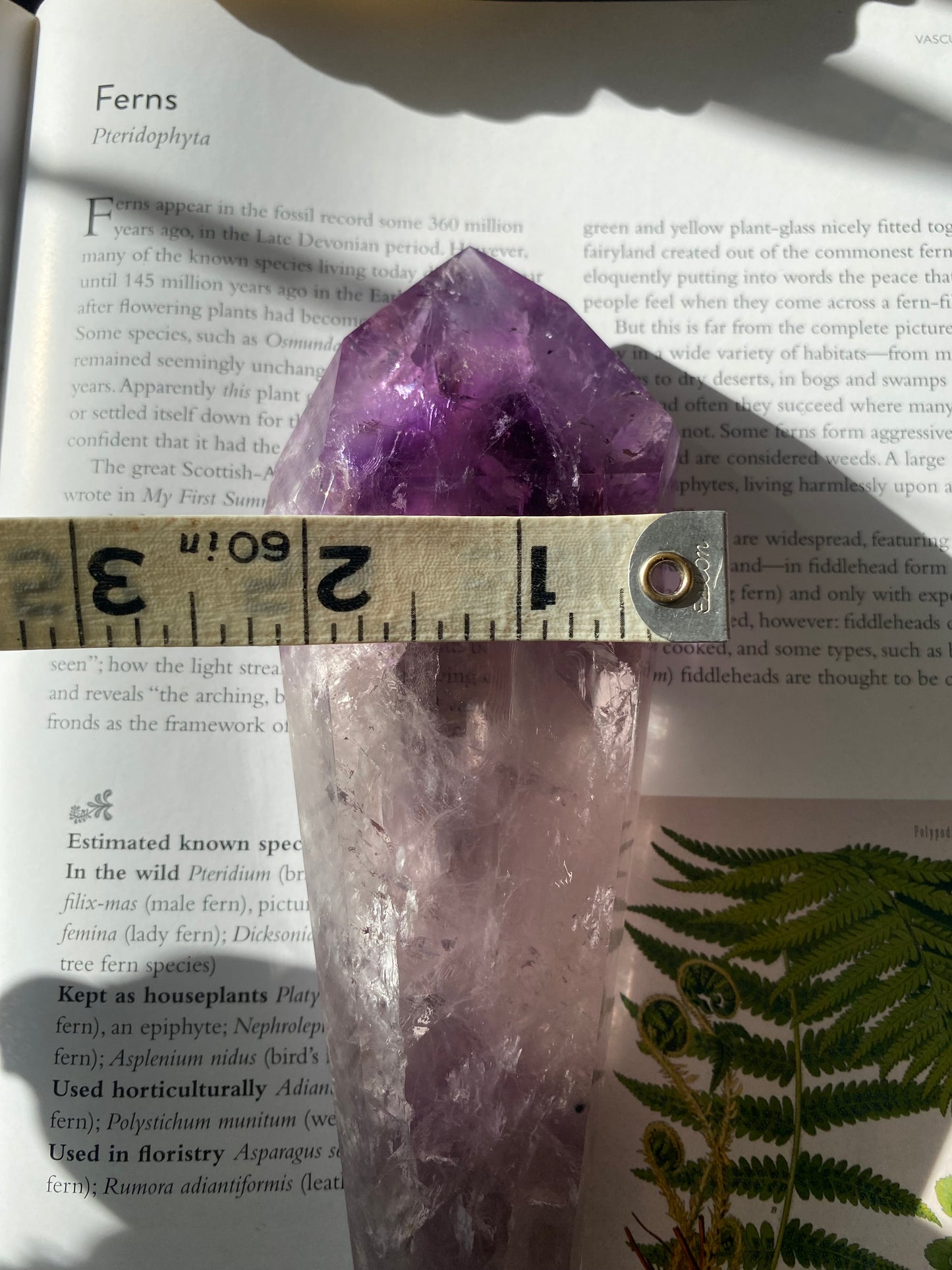 Amethyst Spear Point 358 g - Moon Room Shop and Wellness