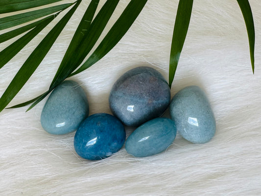 Trolleite Tumbled - Moon Room Shop and Wellness