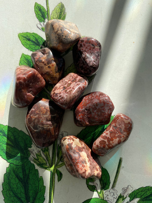 Red Leopard Skin Jasper Tumbled - Moon Room Shop and Wellness