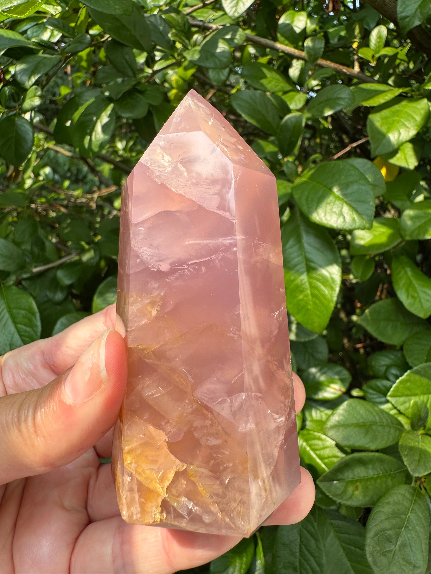 Guava Rose Quartz w Golden Healer - Gorgeous! 254 g - Brazil - Moon Room Shop and Wellness