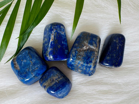 Lapis Lazuli Tumbled - Moon Room Shop and Wellness