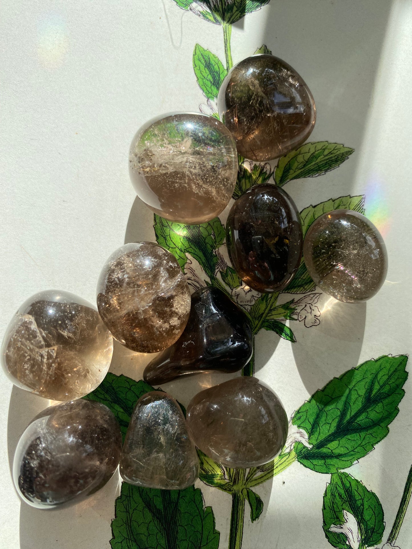 Smoky Quartz Tumbled - Moon Room Shop and Wellness