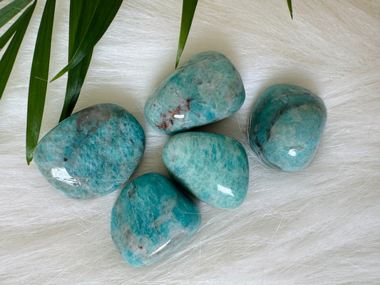 Amazonite Tumbled Large - Moon Room Shop and Wellness