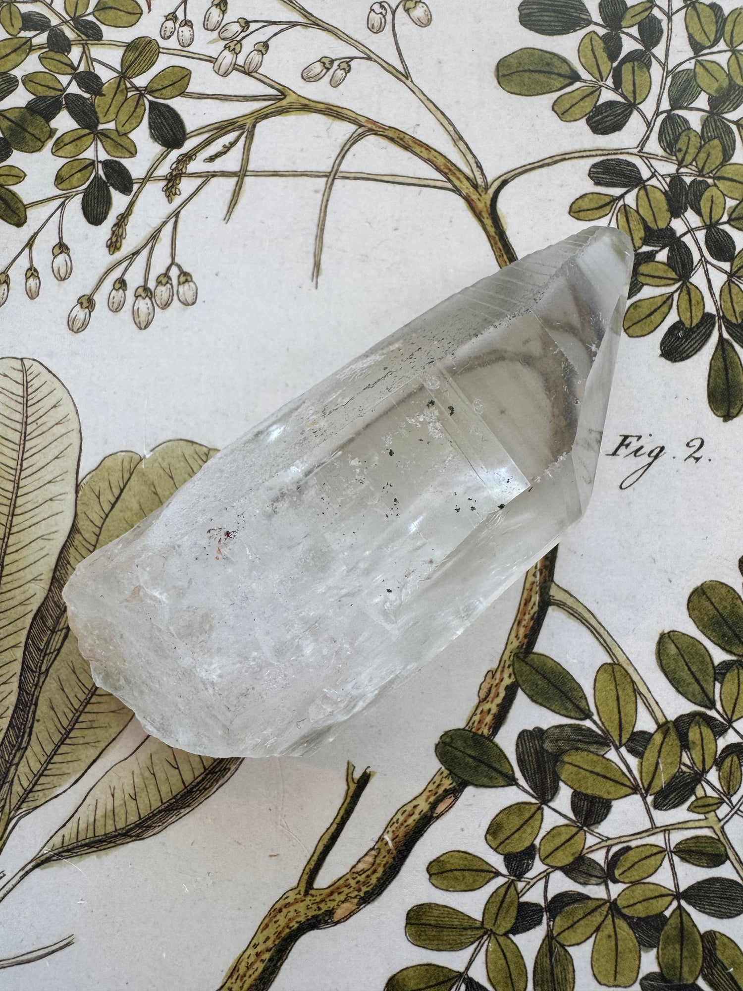Lemurian Quartz Point 123 g Brazil - Moon Room Shop and Wellness