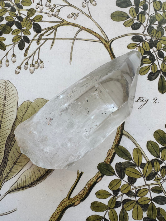 Lemurian Quartz Point 123 g Brazil - Moon Room Shop and Wellness