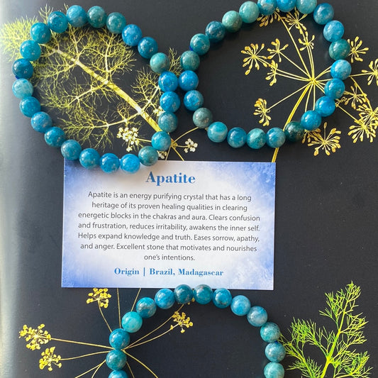 Blue Apatite 8mm Stretch Bracelet - Moon Room Shop and Wellness