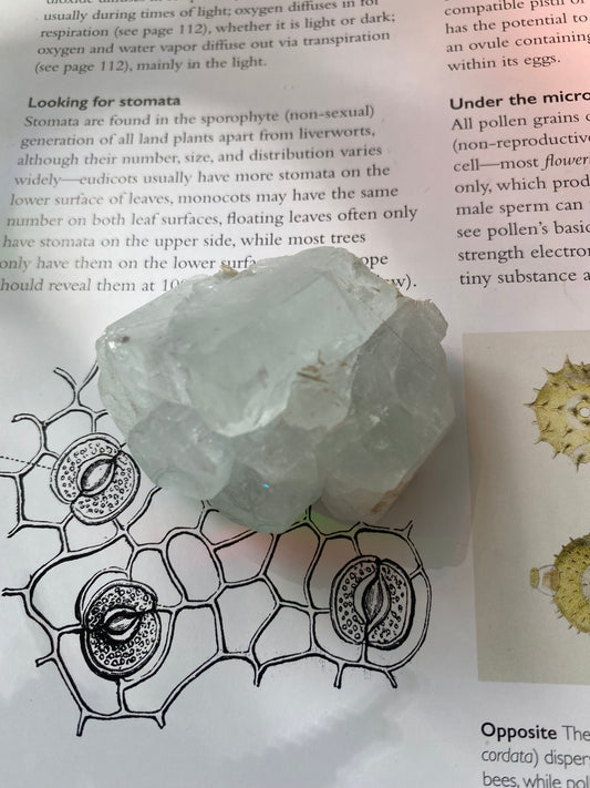 Raw Aquamarine 288 ct. Pakistan - Moon Room Shop and Wellness