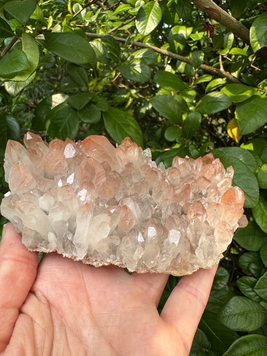 Pink Lithium Quartz Cluster 398 g - Brazil- Peaceful Beauty! - Moon Room Shop and Wellness