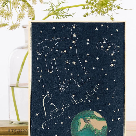 Whimsical Night Sky Greeting Card- Blank - Moon Room Shop and Wellness