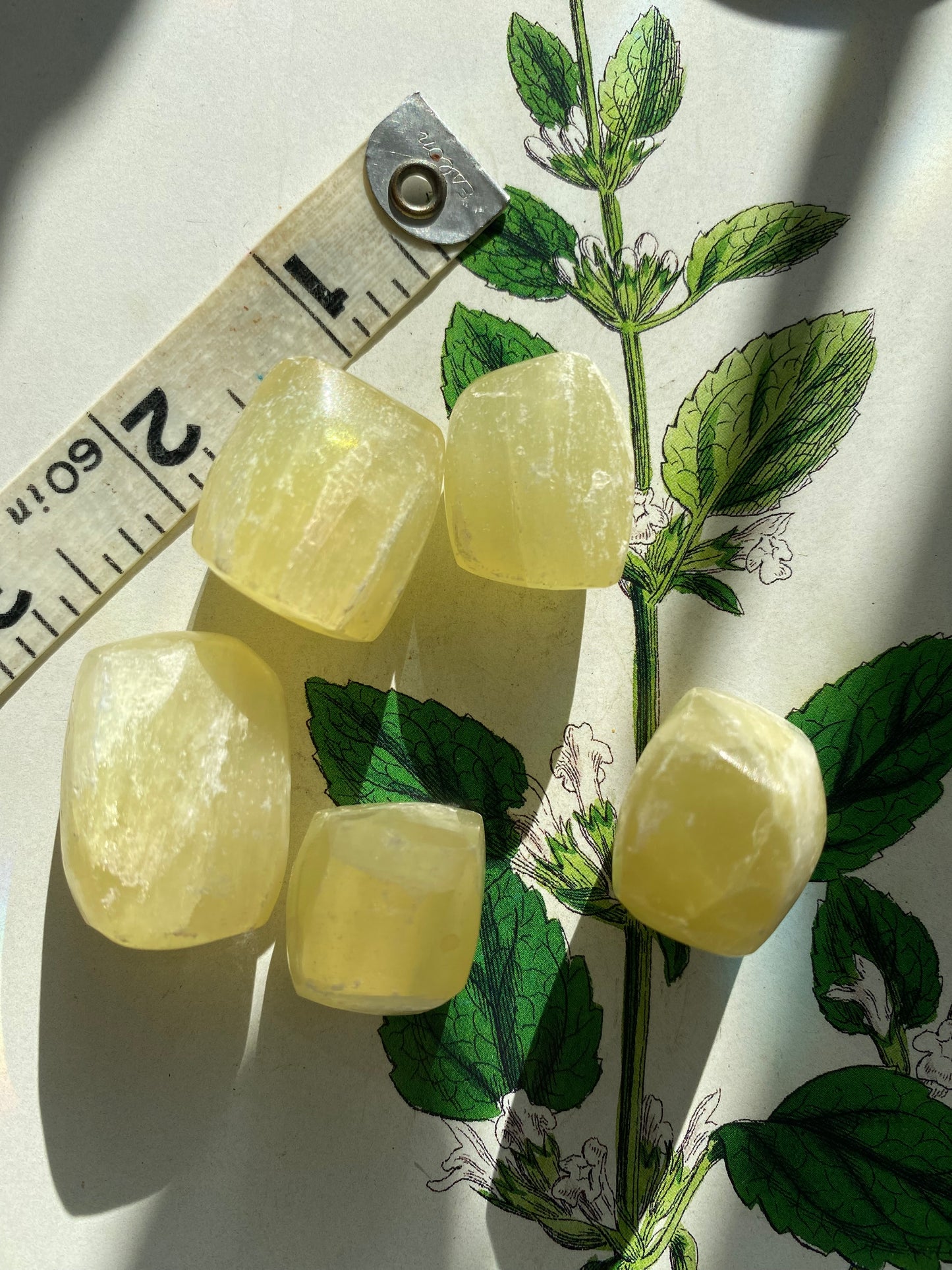 Lemon Calcite Tumbled - Moon Room Shop and Wellness