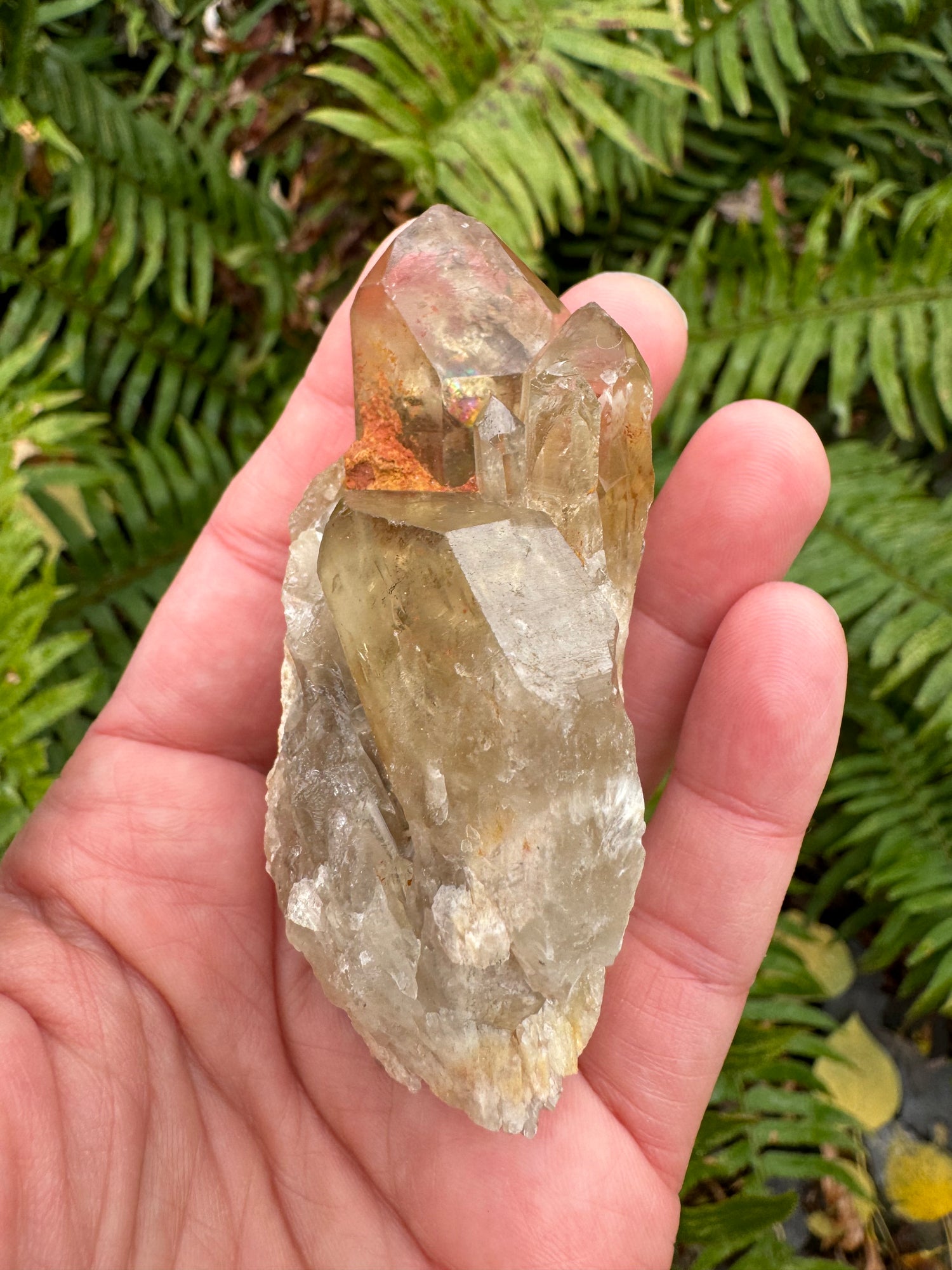 Kundalini Citrine 120 g Rainbows!! - Moon Room Shop and Wellness