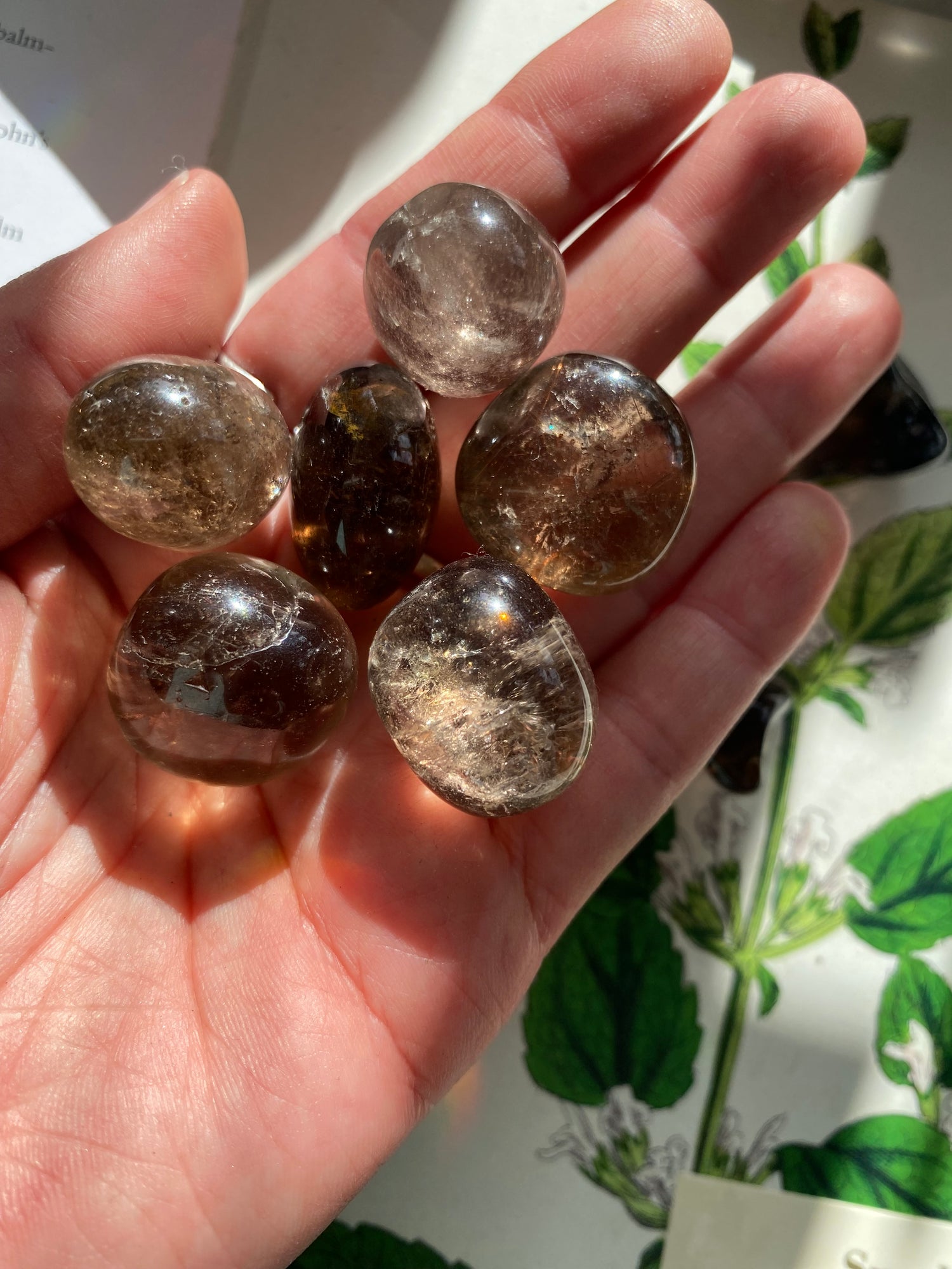 Smoky Quartz Tumbled - Moon Room Shop and Wellness