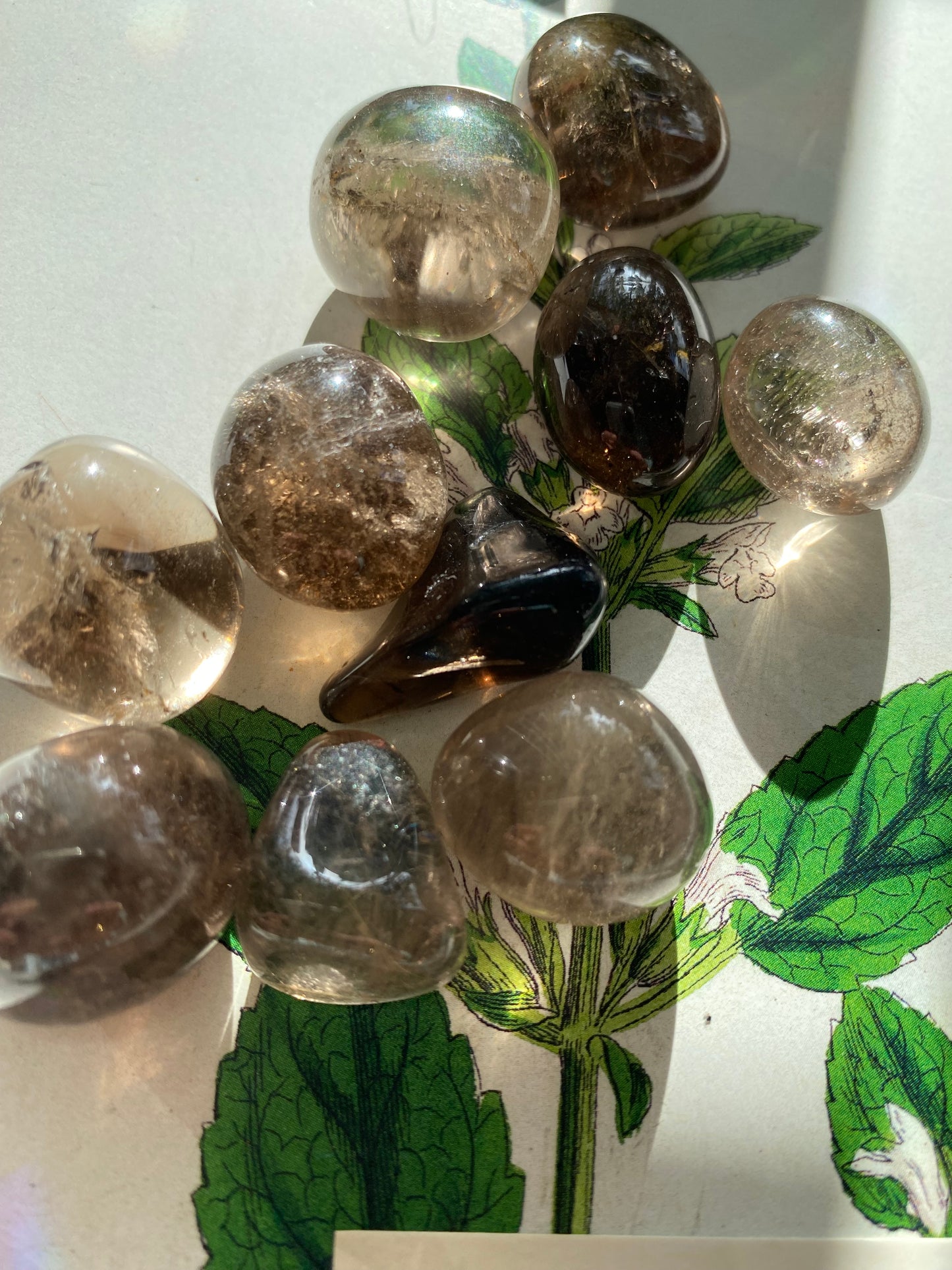 Smoky Quartz Tumbled - Moon Room Shop and Wellness