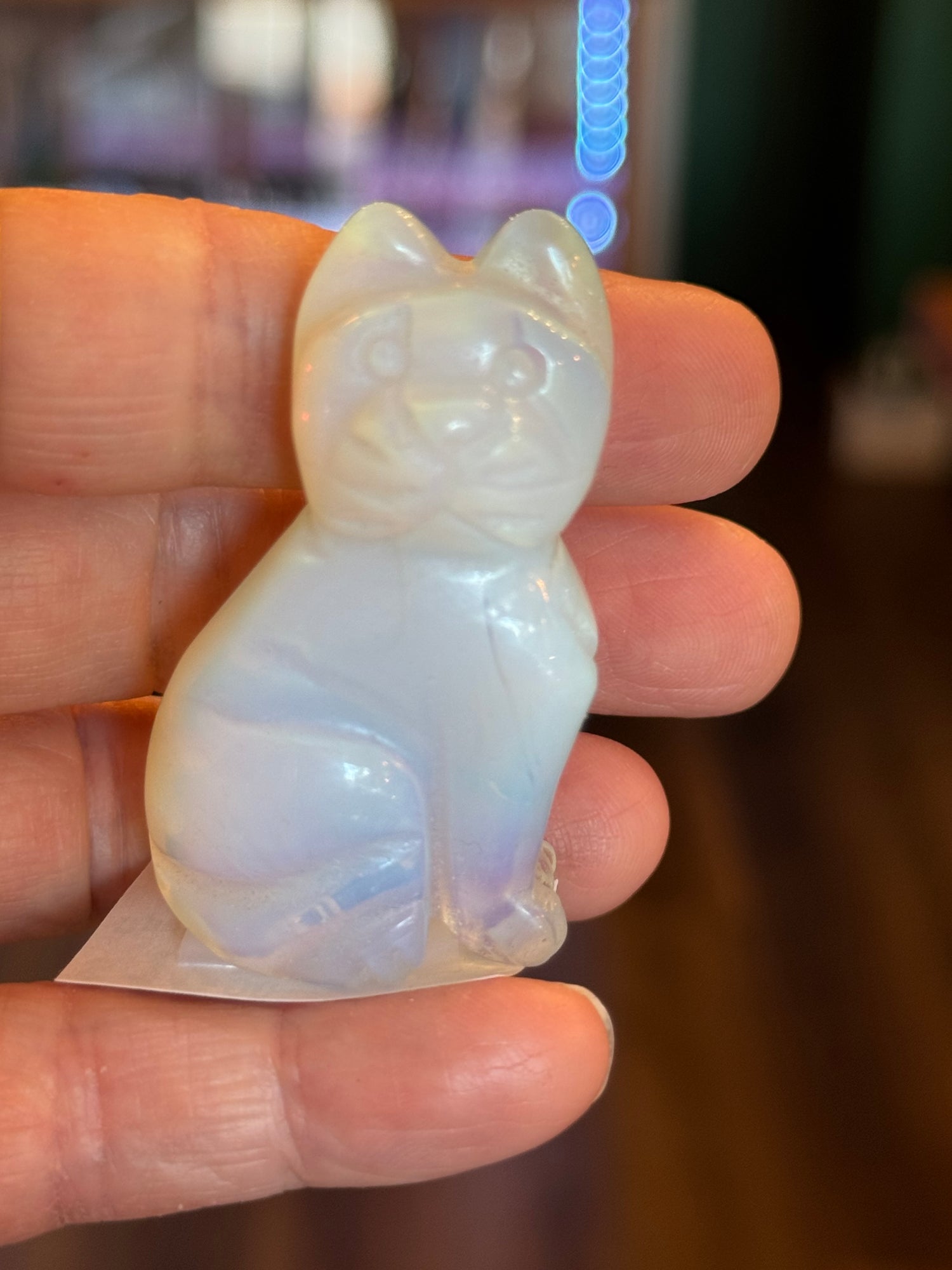 Opalite Cat 2x1 - Moon Room Shop and Wellness