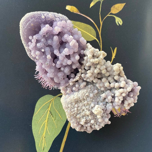 Grape Agate Botryoidal 162 g  Indonesia  - Moon Room Shop and Wellness