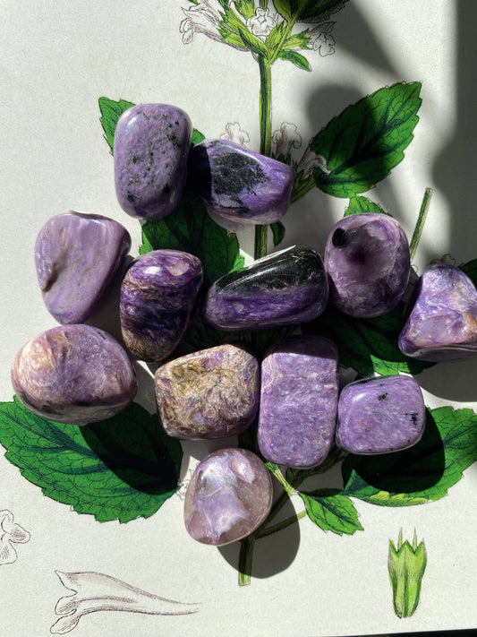 Charoite Tumbled Russia - Moon Room Shop and Wellness