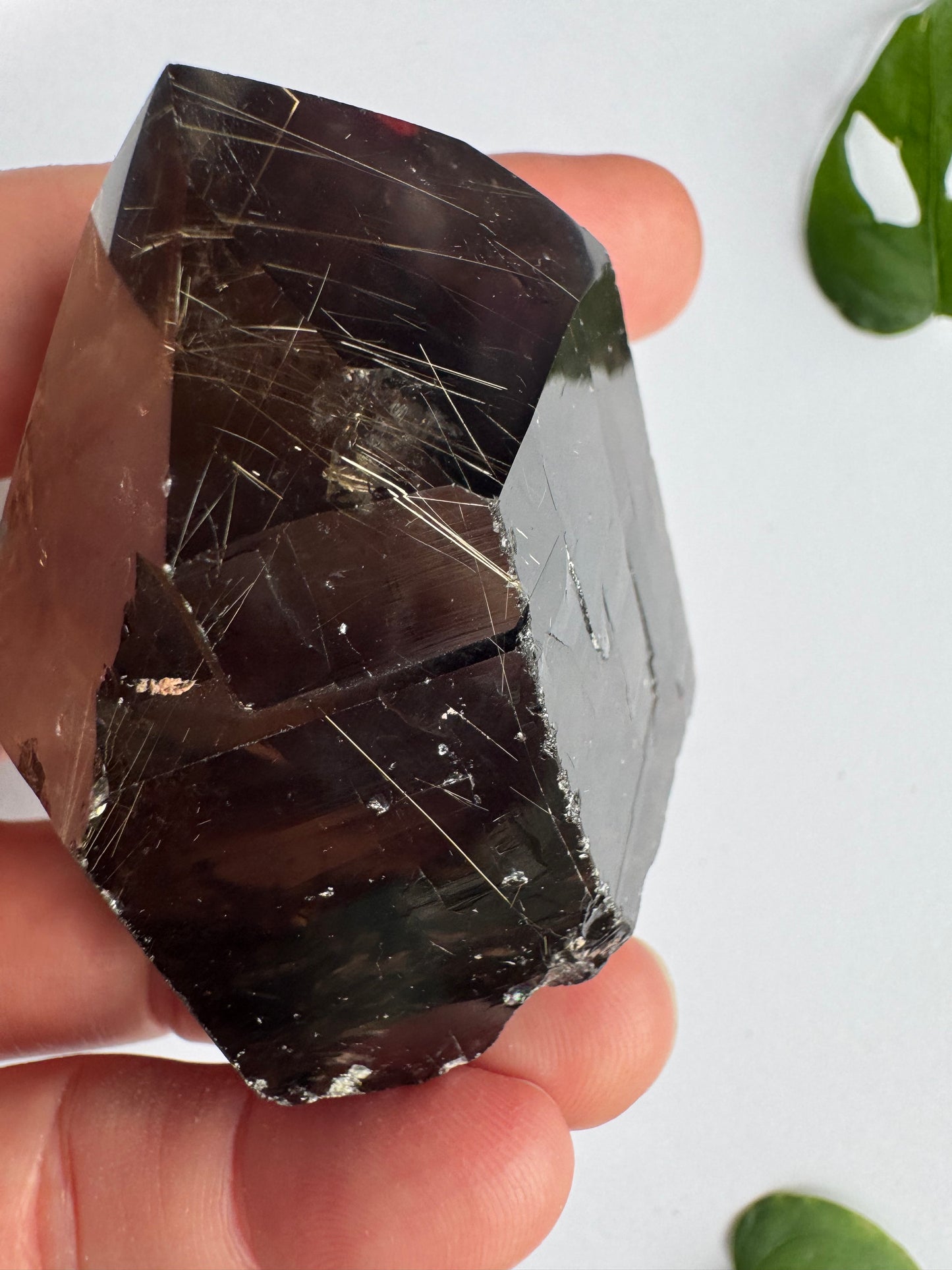 Smoky Quartz Rutilated Beauty 160 g. Brazil - Moon Room Shop and Wellness