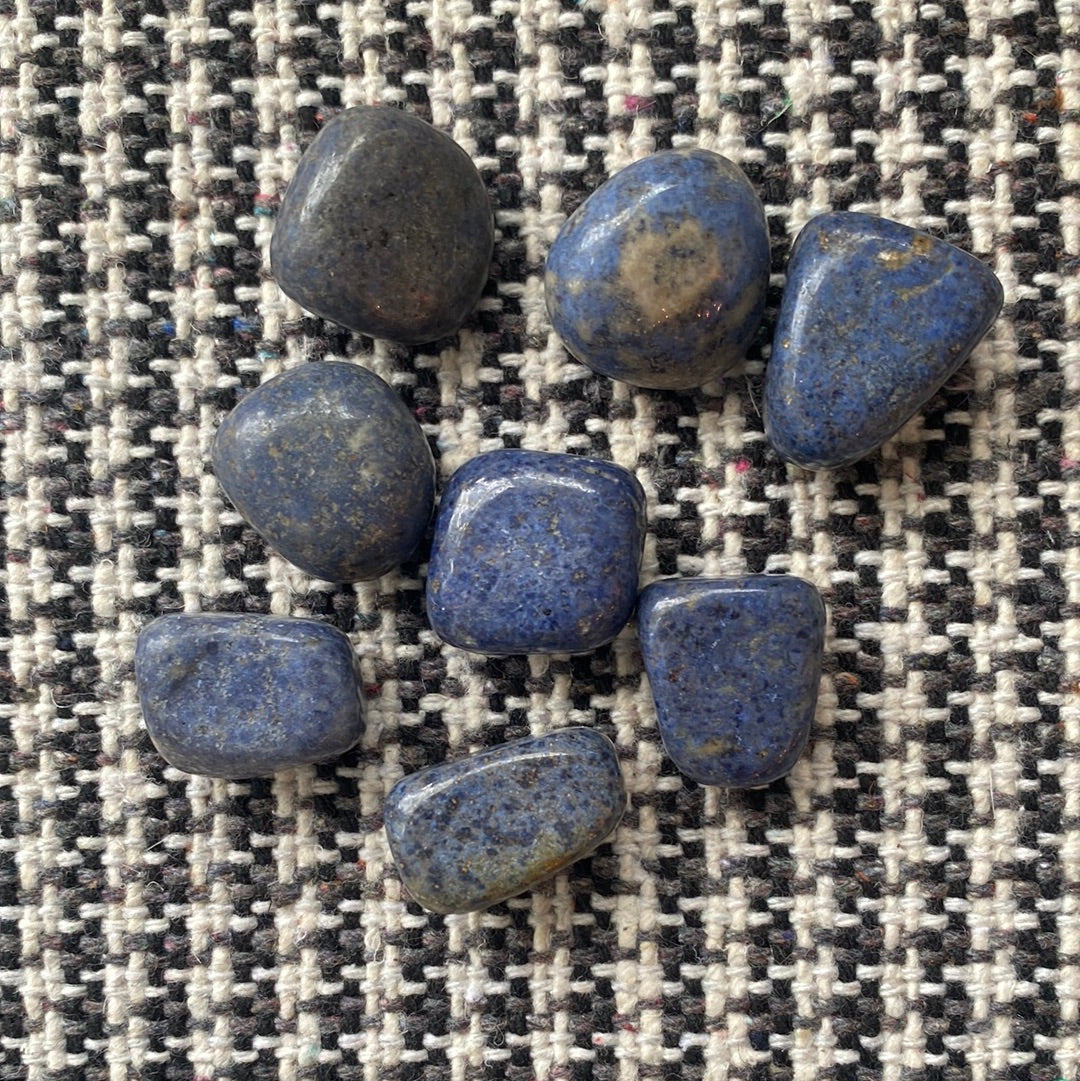 Dumortierite Tumbled - Moon Room Shop and Wellness