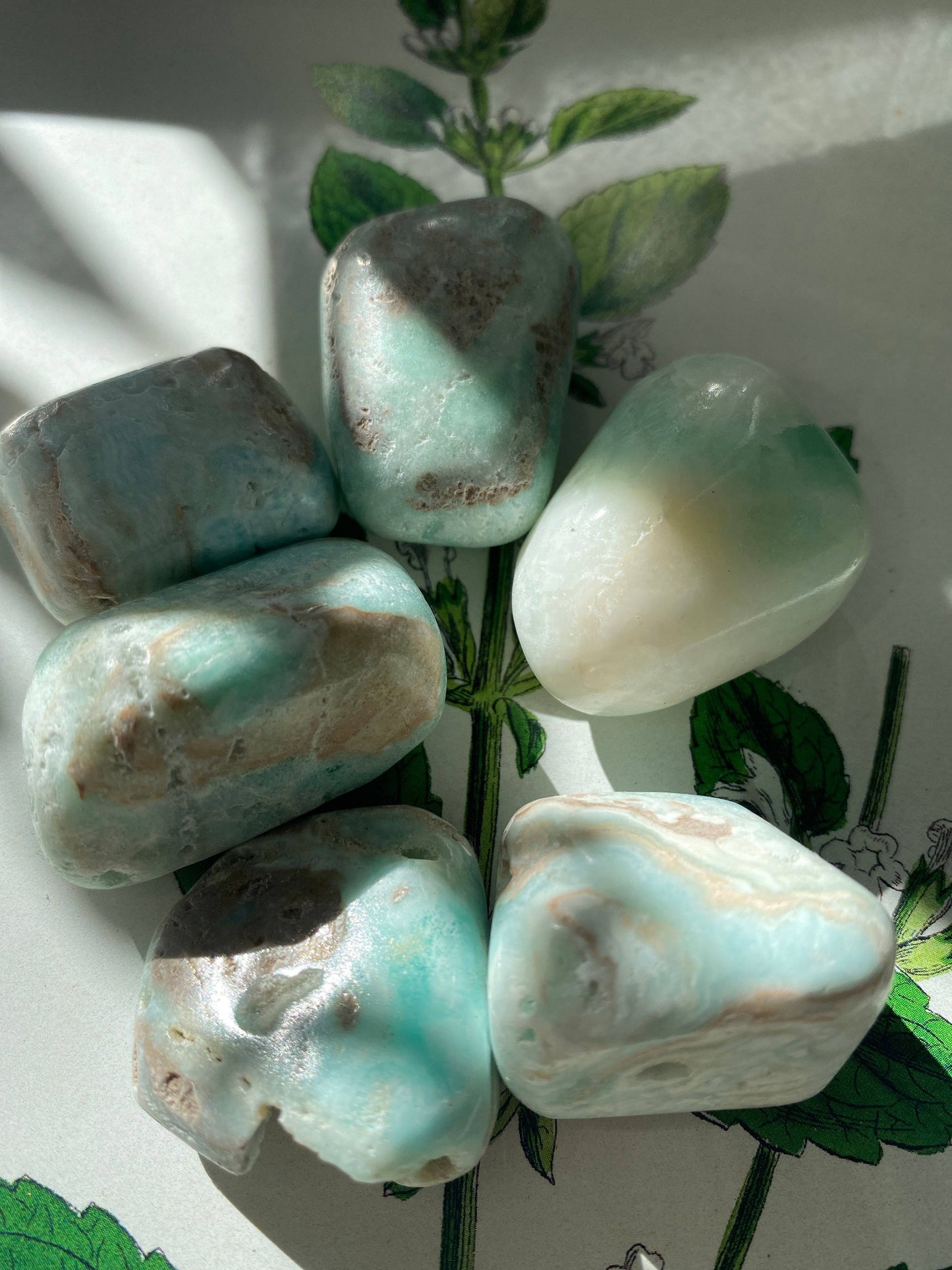 Caribbean Calcite Tumbled - Moon Room Shop and Wellness