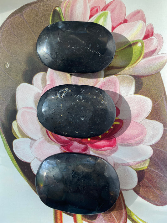 Shungite Palmstone - Moon Room Shop and Wellness