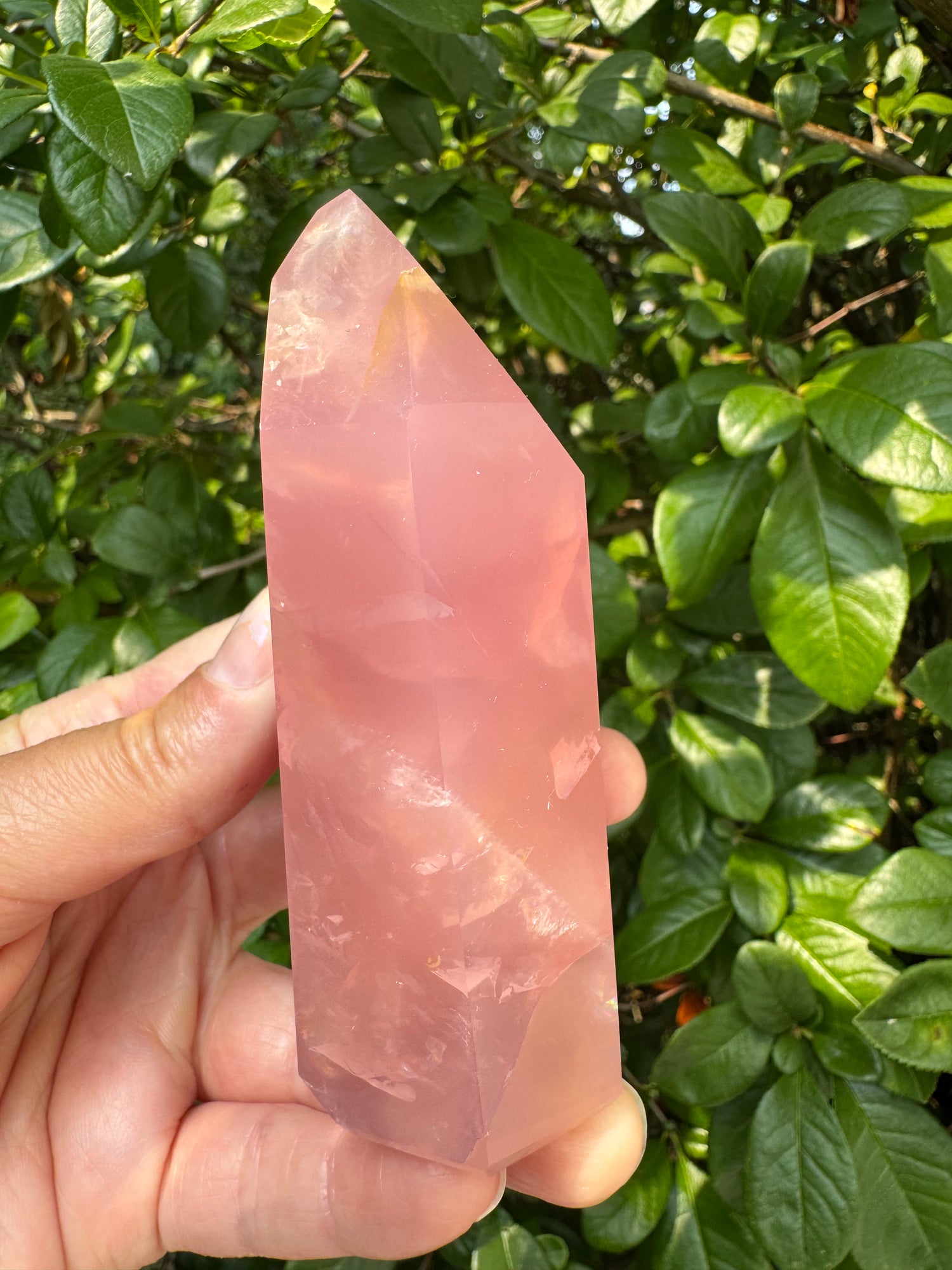 Guava Rose Quartz w Golden Healer - Gorgeous! 304 g - Brazil - Moon Room Shop and Wellness